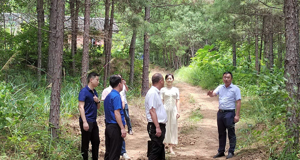 天津武清率先探索“用地用林一件事”改革