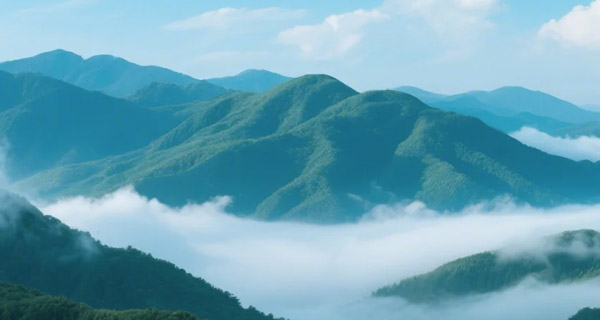 浙江衢州：解锁青山绿水间的“共富密码”